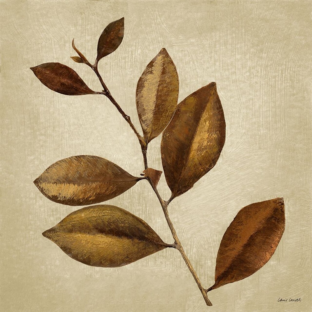 Antiqued Leaves II Poster Print by Lanie Loreth - Item # VARPDX12575